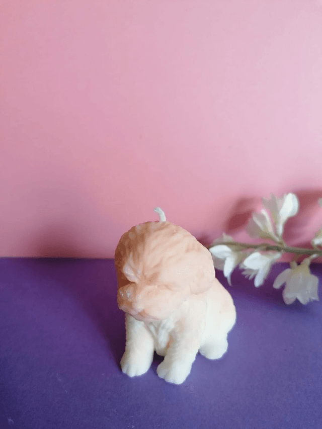 Bougie « Milou » 