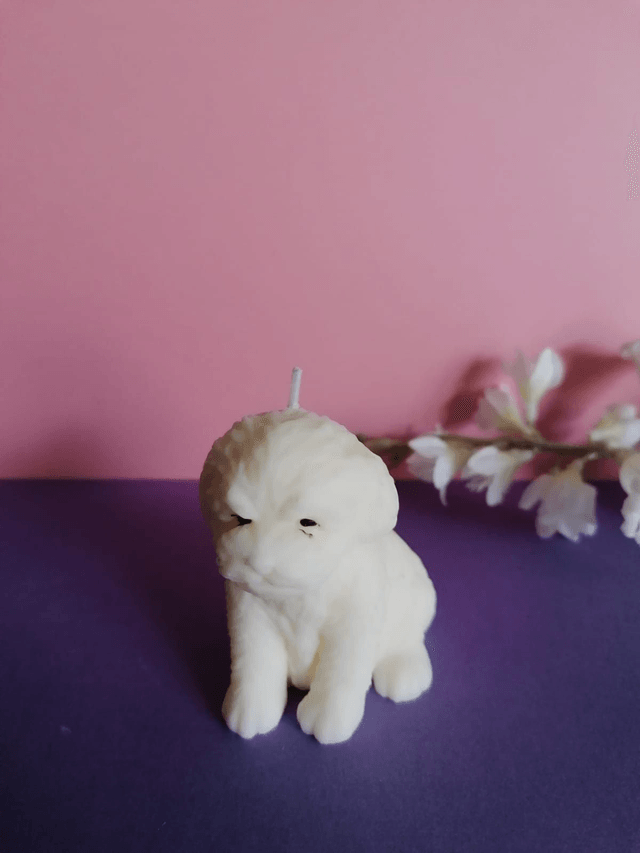 Bougie « Milou » 